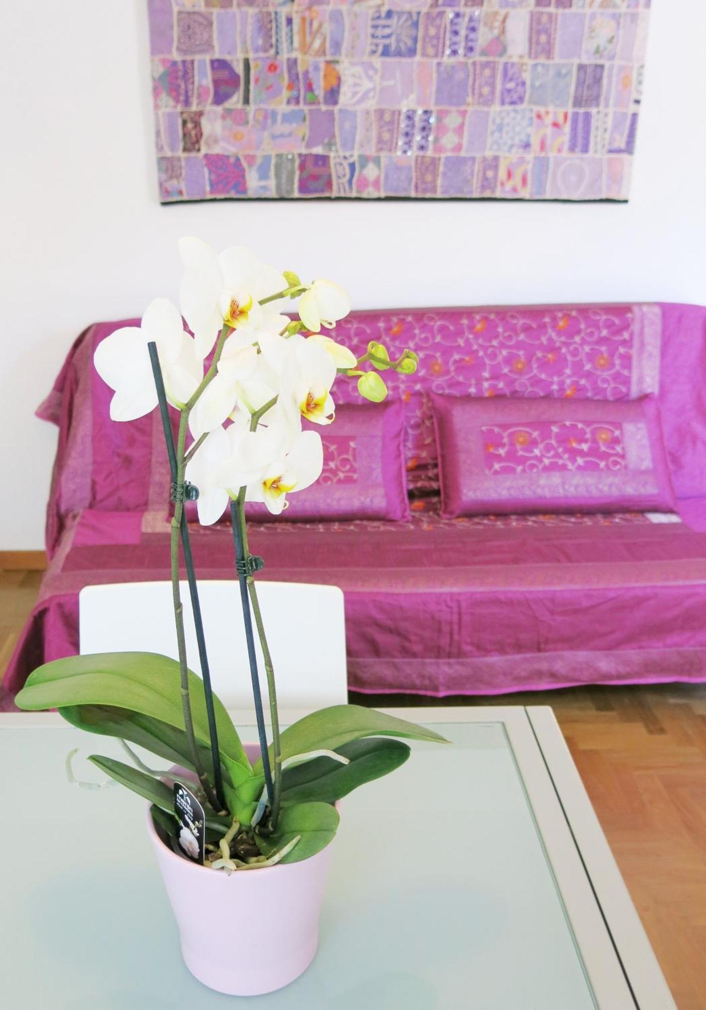 Residence Amarein كاوْرلي المظهر الخارجي الصورة